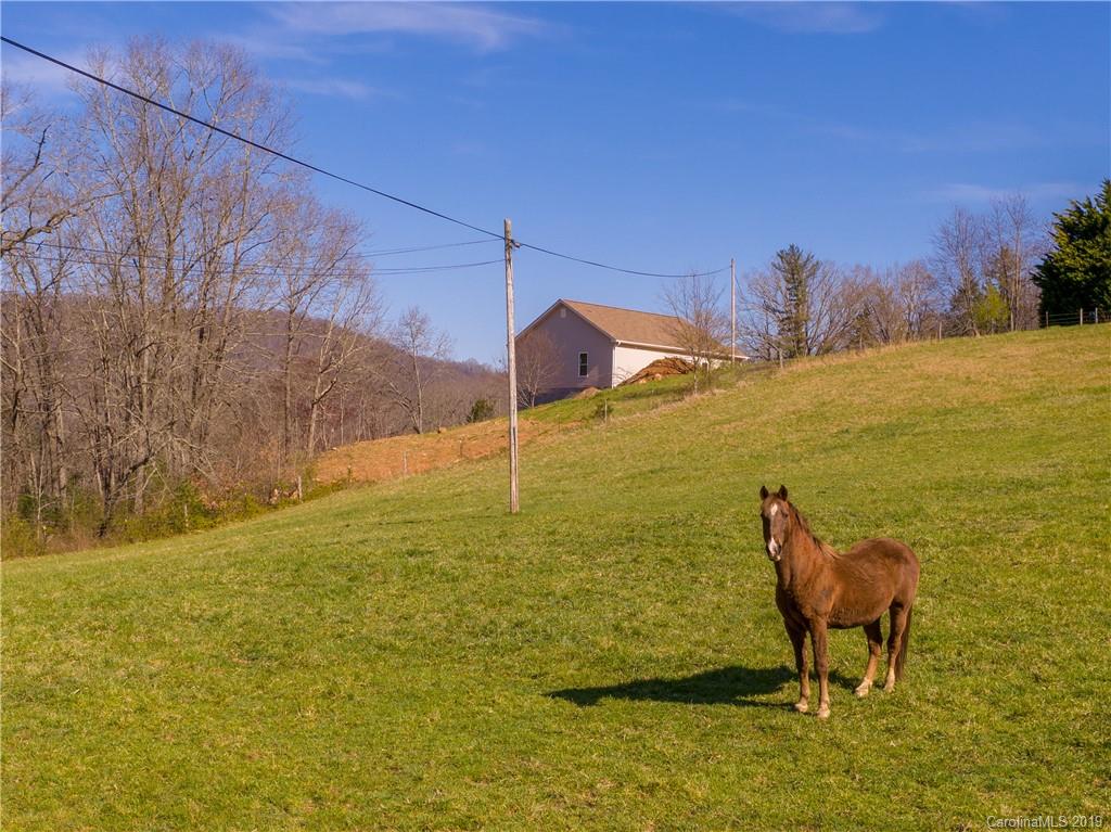895 Murray Road Canton, NC 28716 - Photo 26 of 30