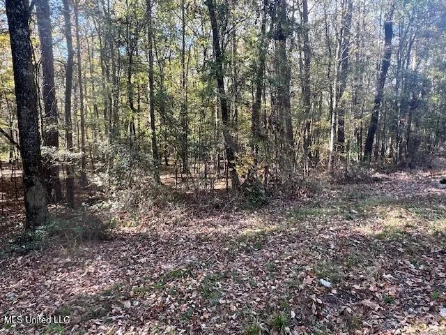 $85,000 | 0 Pelahatchie Road, Pelahatchie, MS 39145