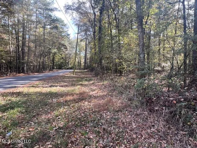 $85,000 | 0 Pelahatchie Road, Pelahatchie, MS 39145
