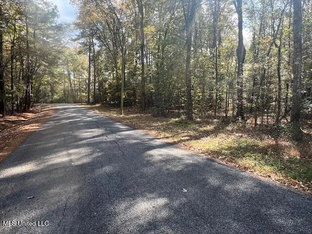 $85,000 | 0 Pelahatchie Road, Pelahatchie, MS 39145