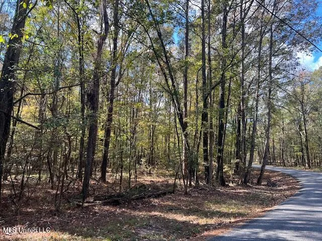 $85,000 | 0 Pelahatchie Road, Pelahatchie, MS 39145