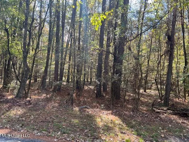 $85,000 | 0 Pelahatchie Road, Pelahatchie, MS 39145