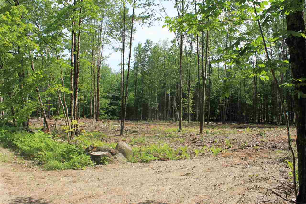 0 Mountain View Road, Unit 8 Campton, NH 03223 - Photo 3 of 5