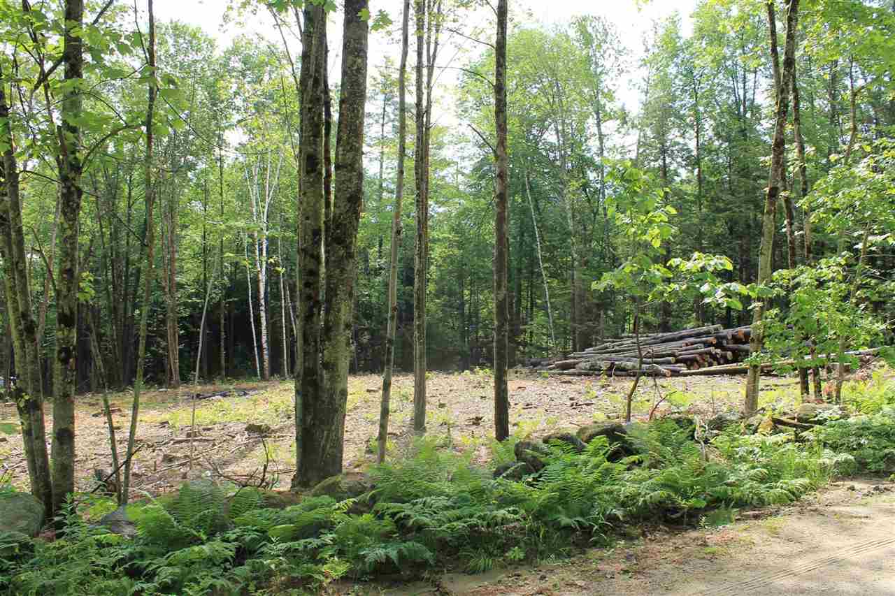 0 Mountain View Road, Unit 8 Campton, NH 03223 - Photo 4 of 5
