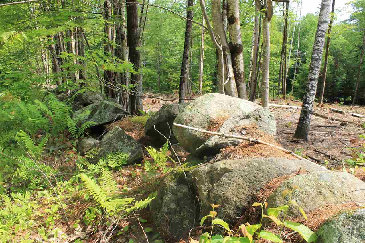 0 Mountain View Road, Unit 8 Campton, NH 03223 - Photo 5 of 5
