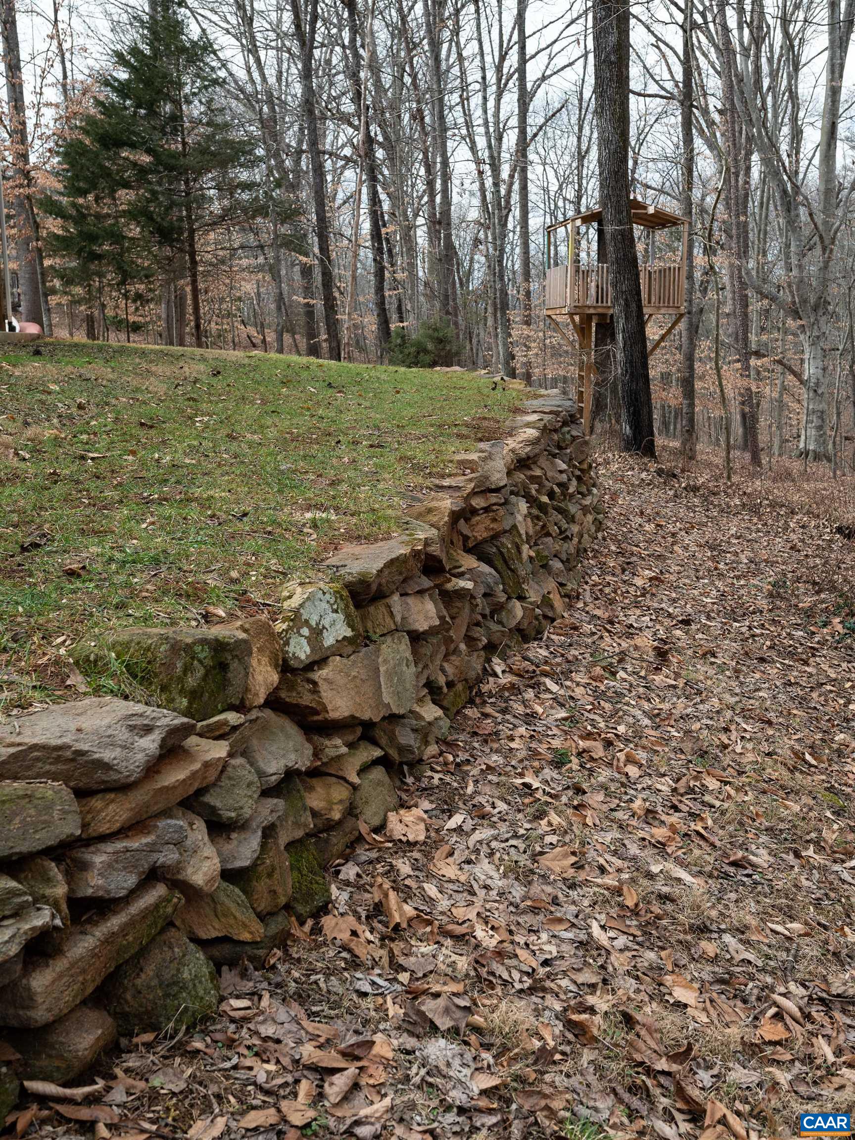 130 Ivy Ridge Road Charlottesville, VA 22901 - Photo 47 of 66 a view of a field with trees