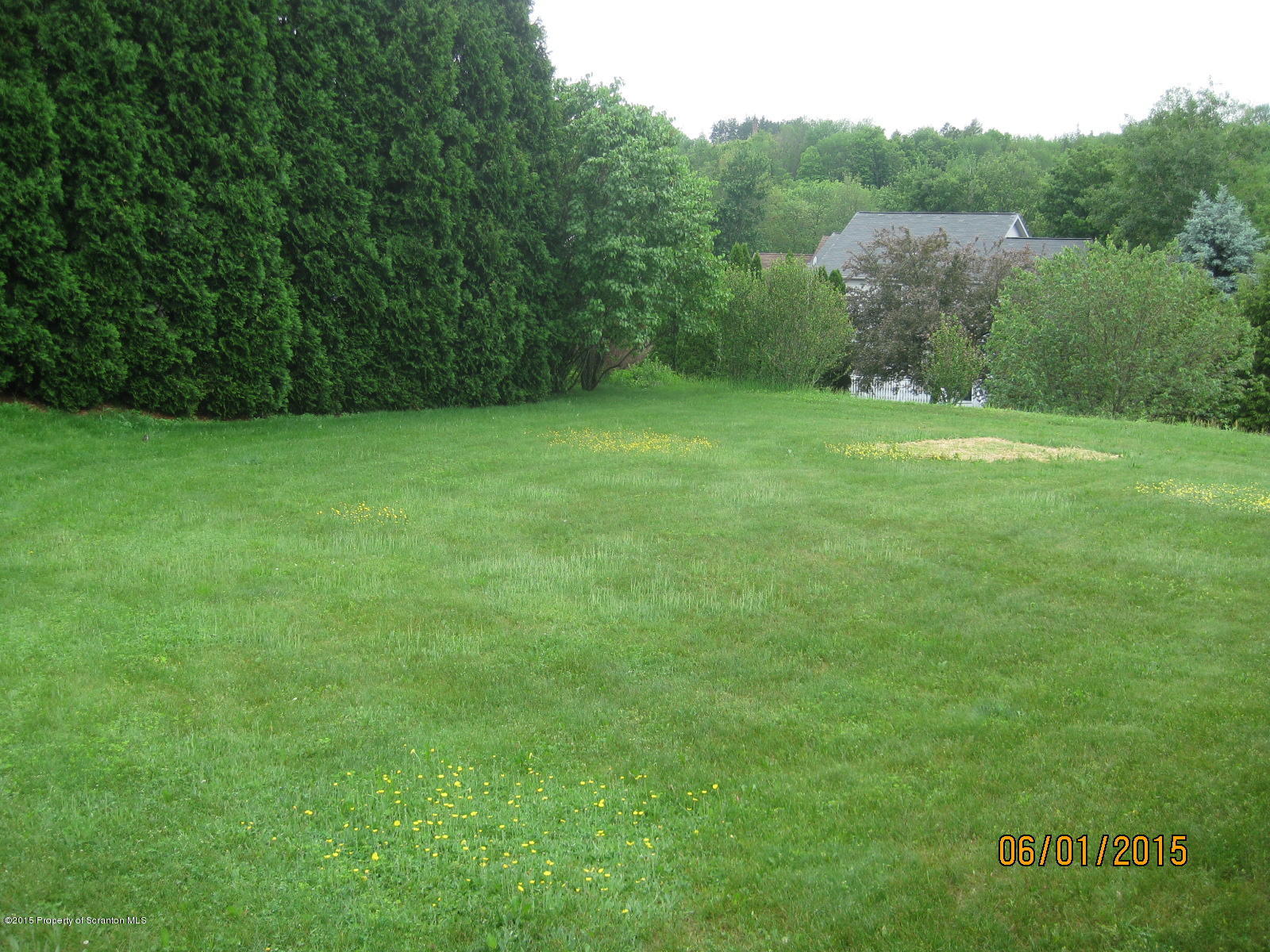 505 Edella Road Clarks Summit, PA 18411 - Photo 9 of 43 Gallery Image 9