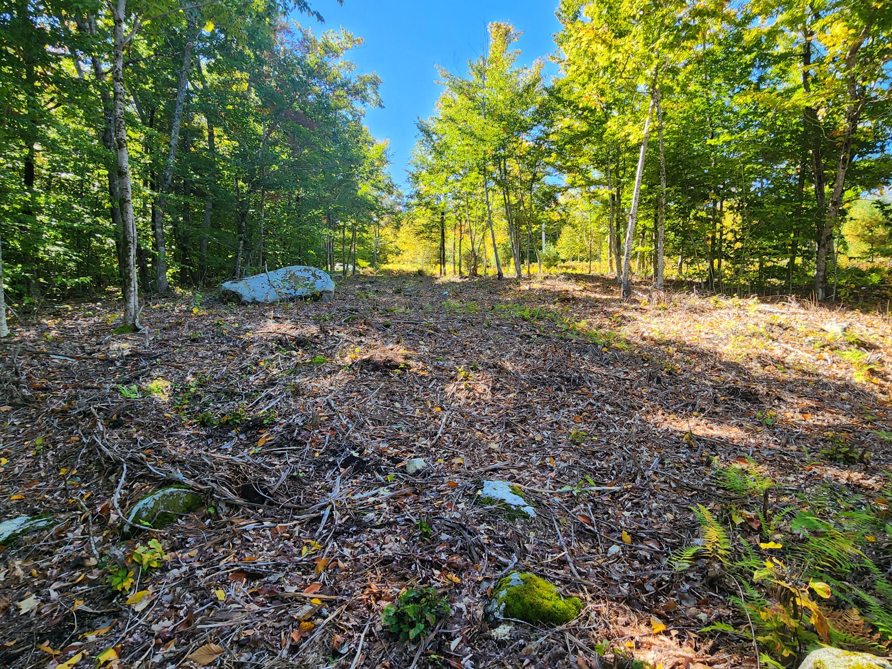 Lot 6-2 Old Elder Road Gray, ME 04039 - Photo 10 of 11 20241008_124029