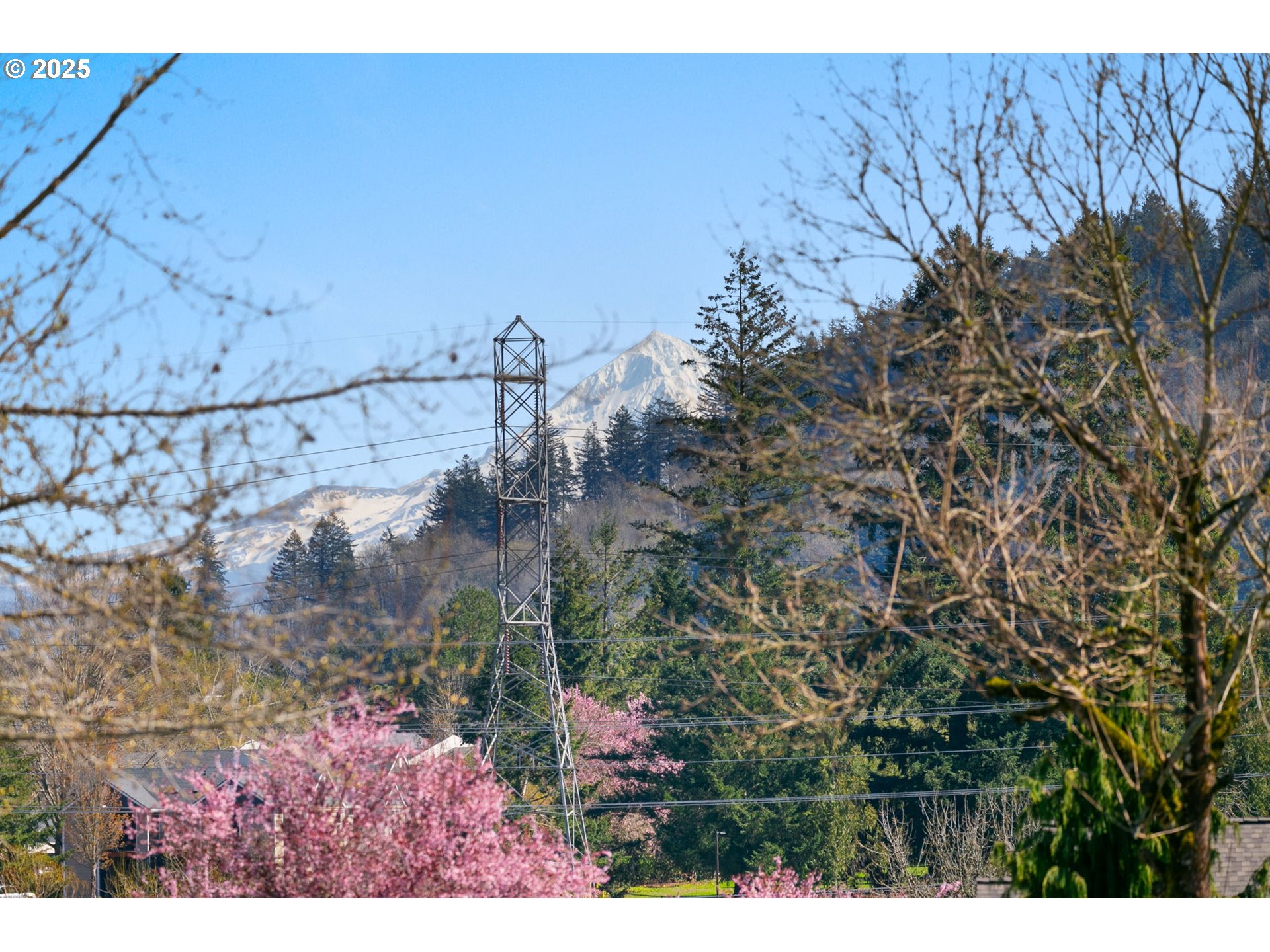 3597 Southwest 2nd Street Gresham, OR 97030 - Photo 5 of 48 View