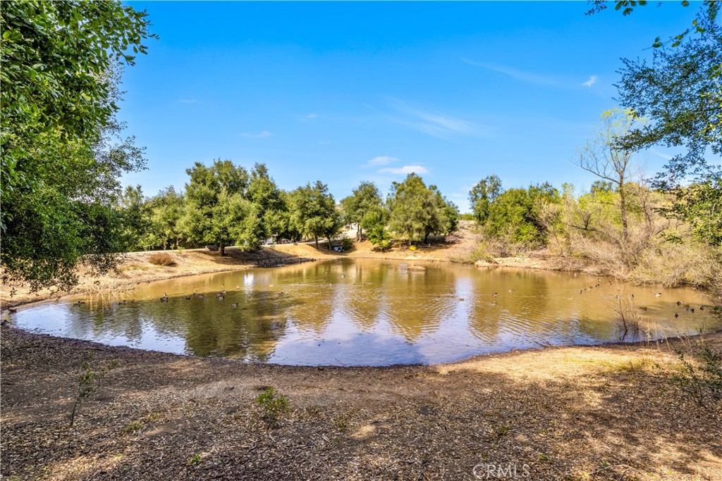 16765 Charro Road Lake Elsinore, CA 92530 - Photo 69 of 75