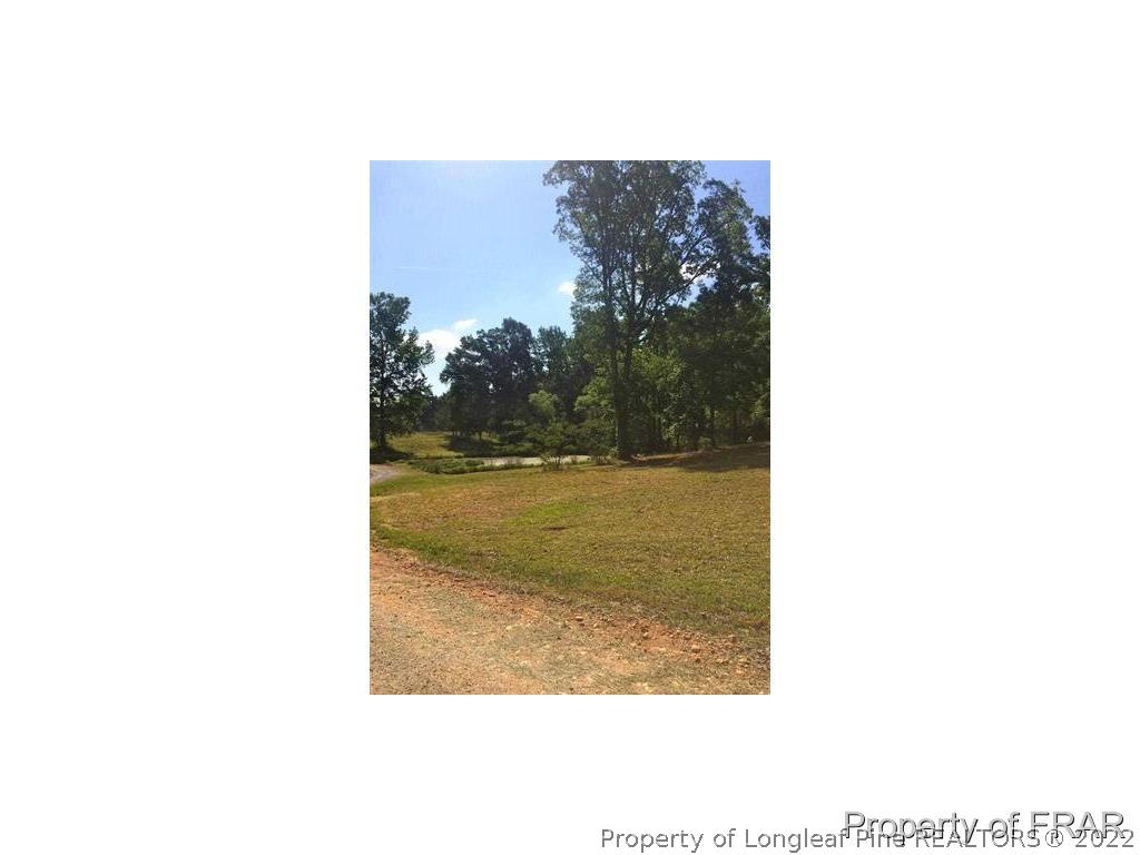 5814 Glendon Carthage Road Carthage, NC 28327 - Photo 21 of 24 Gallery Image 21
