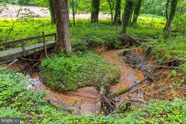 a view of backyard with green space