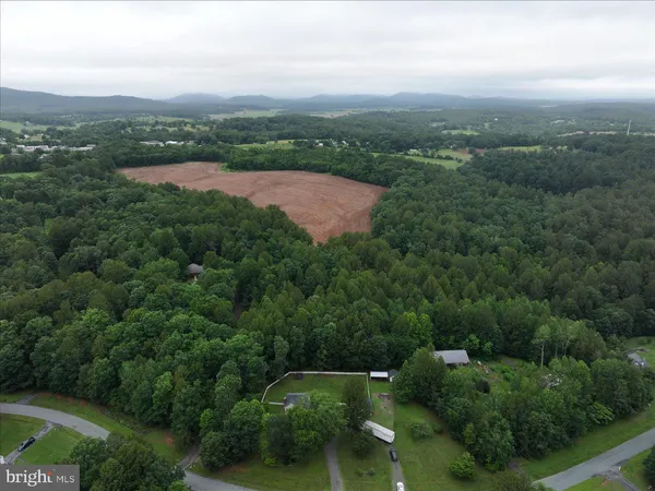 an aerial view of green landscape with trees houses and mountain view