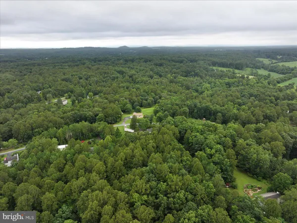 a view of a green field with lots of bushes
