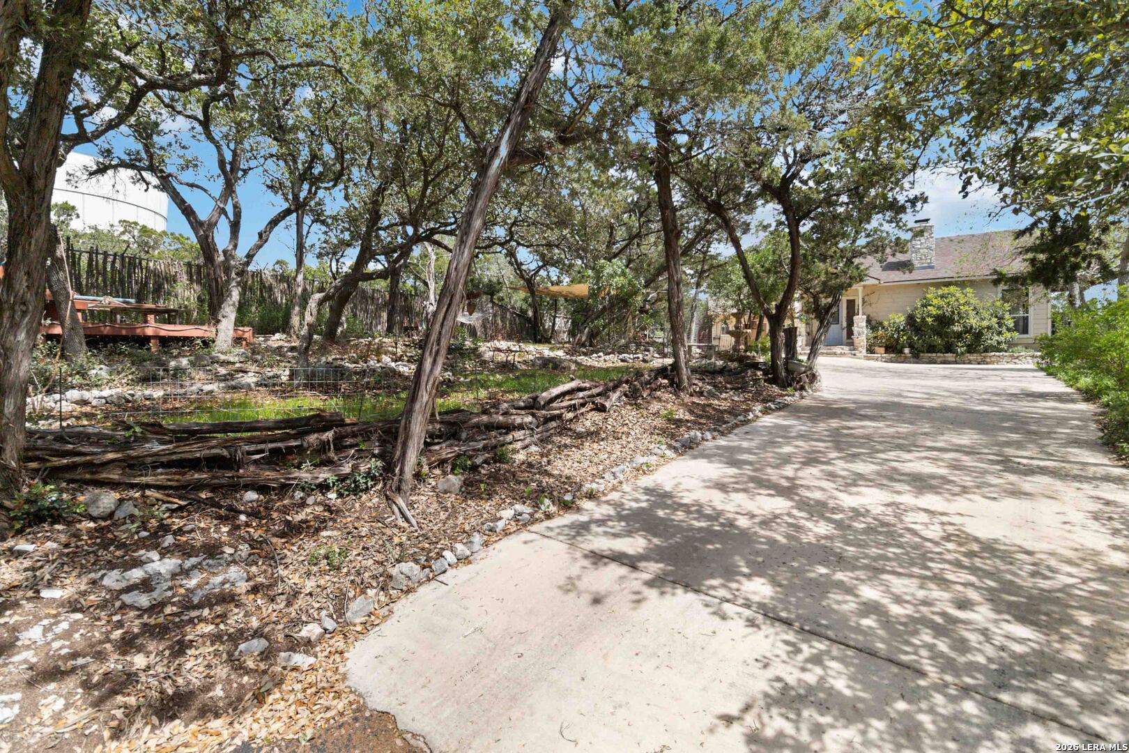 19708 Nottingham Lane Grey Forest, TX 78023 - Photo 6 of 67 a view of a yard with trees