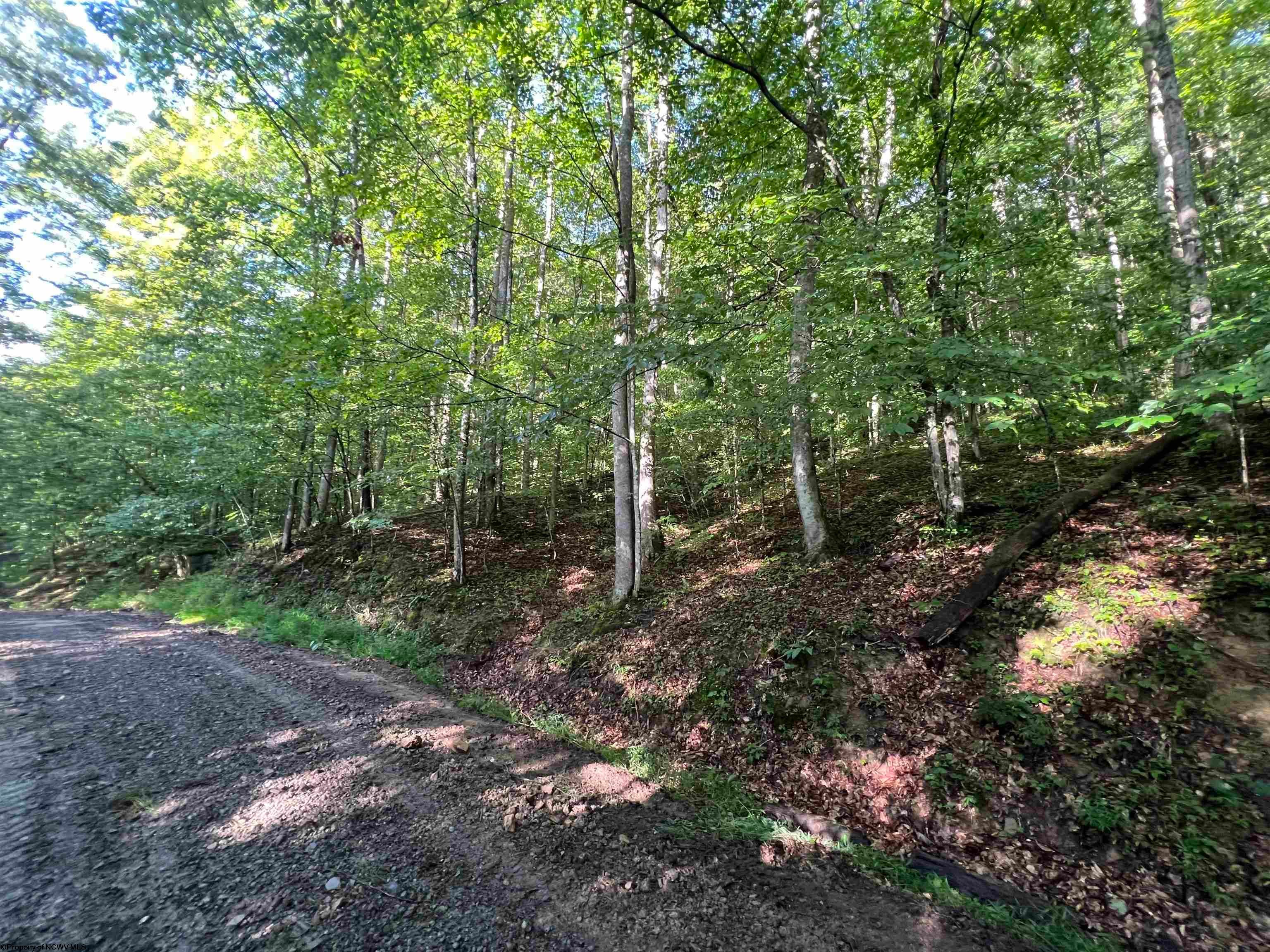 Tbd Fallen Timber Crawford, WV 26343 - Photo 5 of 14 Gallery Image 5
