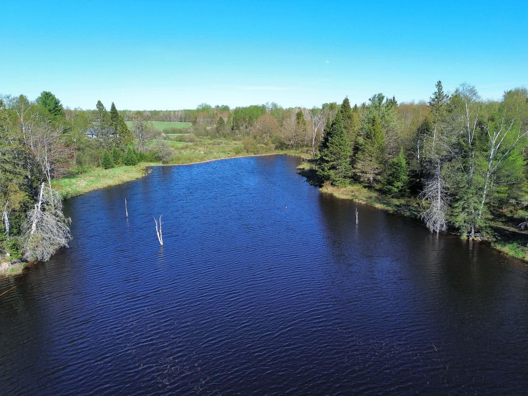 12164 West Irish Line Road Brimley, MI 49715 - Photo 33 of 33 Pond