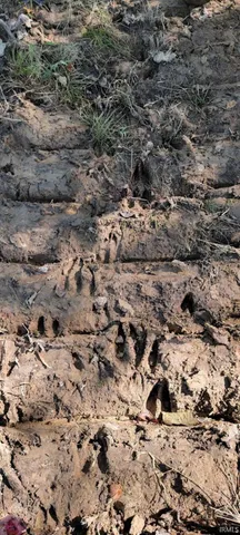 $270,000 | Lot 2 Emmons Ridge Road, French Lick, IN 47432