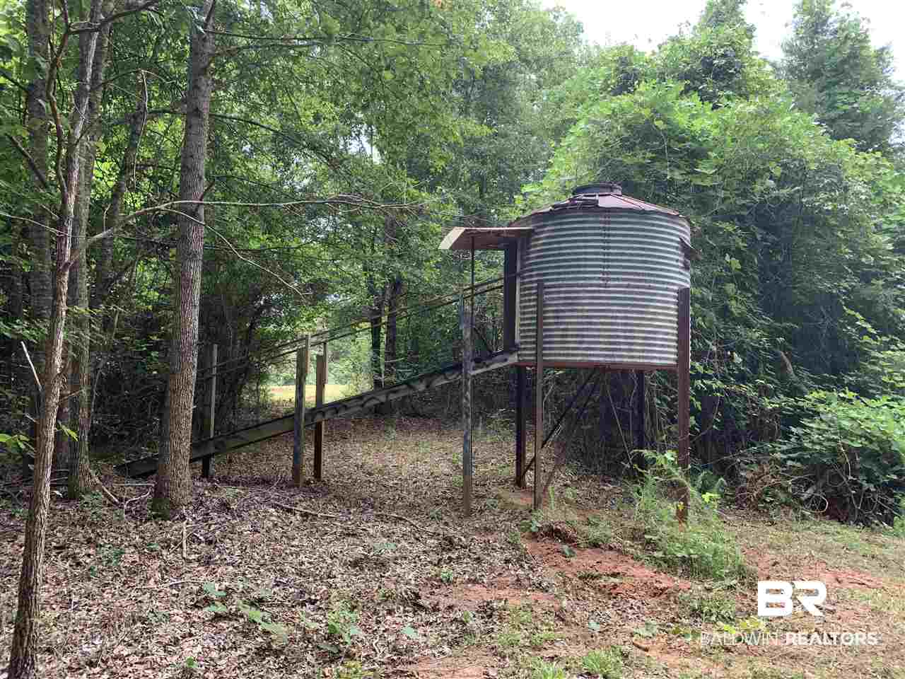 1178 Dry Lake Road Luverne, AL 36049 - Photo 12 of 50