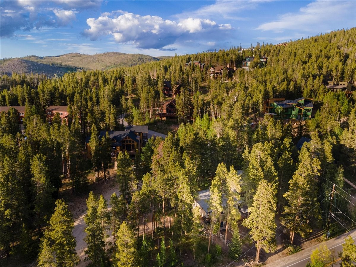 1981 Boreas Pass Road Breckenridge, CO 80424 - Photo 31 of 50
