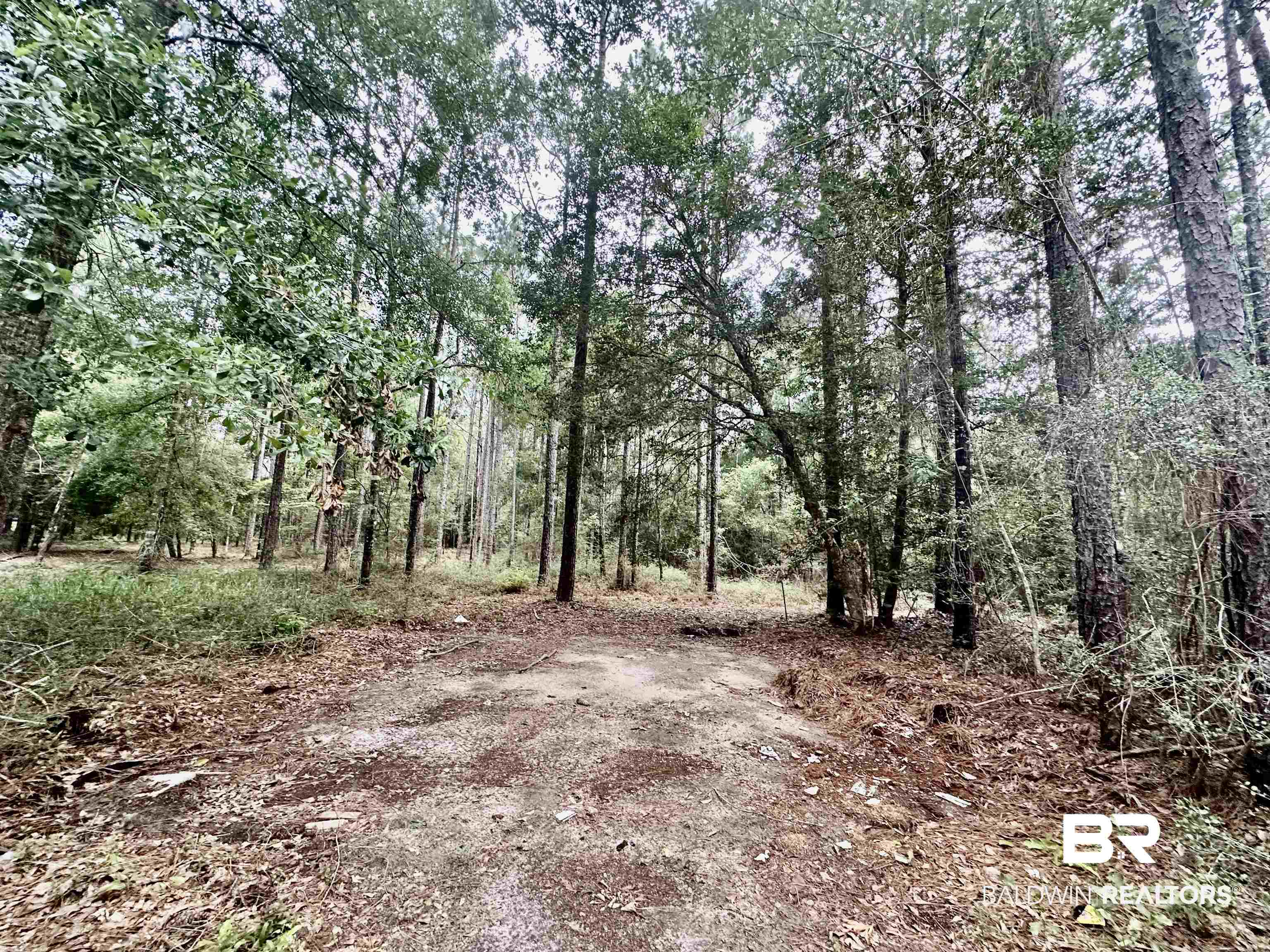32349 Sibley Creek Road Daphne, AL 36527 - Photo 18 of 22