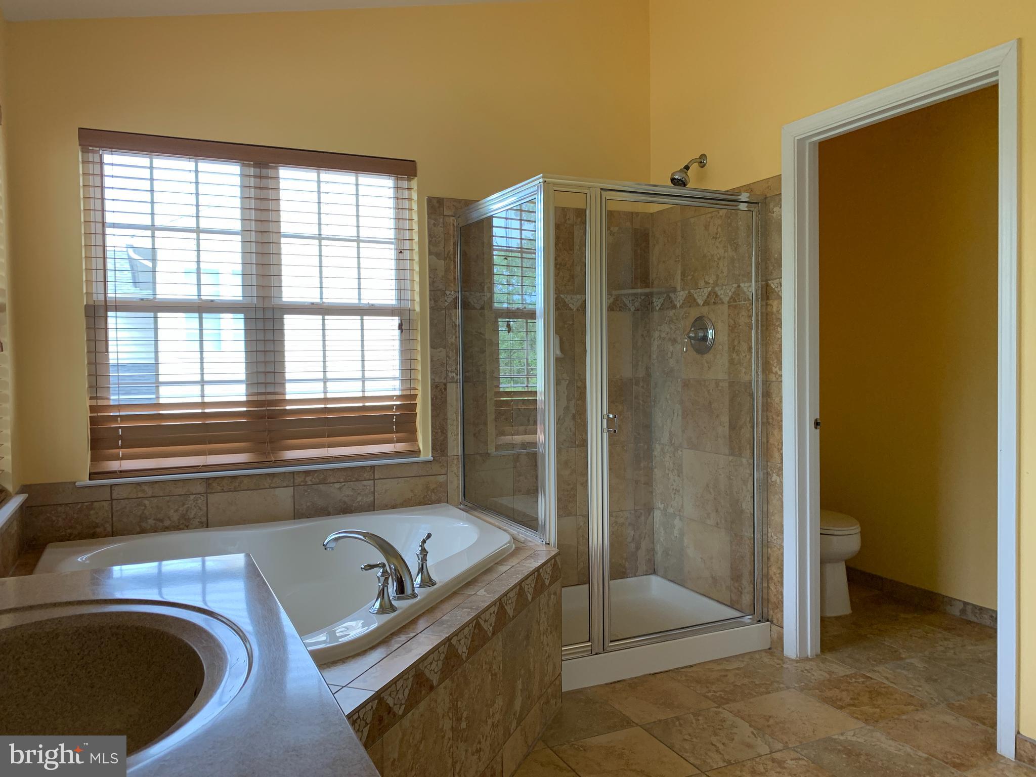 25575 America Square Chantilly, VA 20152 - Photo 40 of 57 Owners bathroom