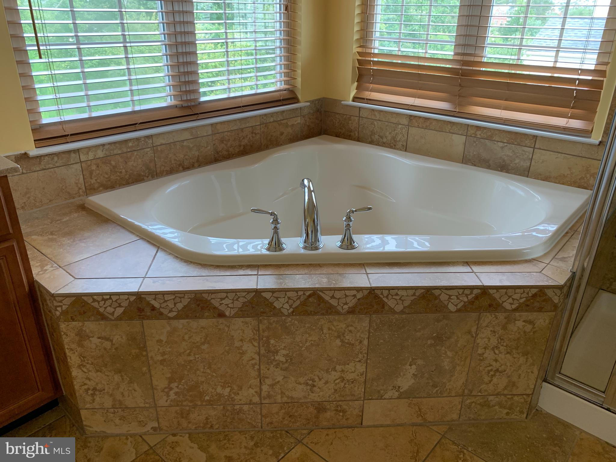 25575 America Square Chantilly, VA 20152 - Photo 41 of 57 Owners bathroom