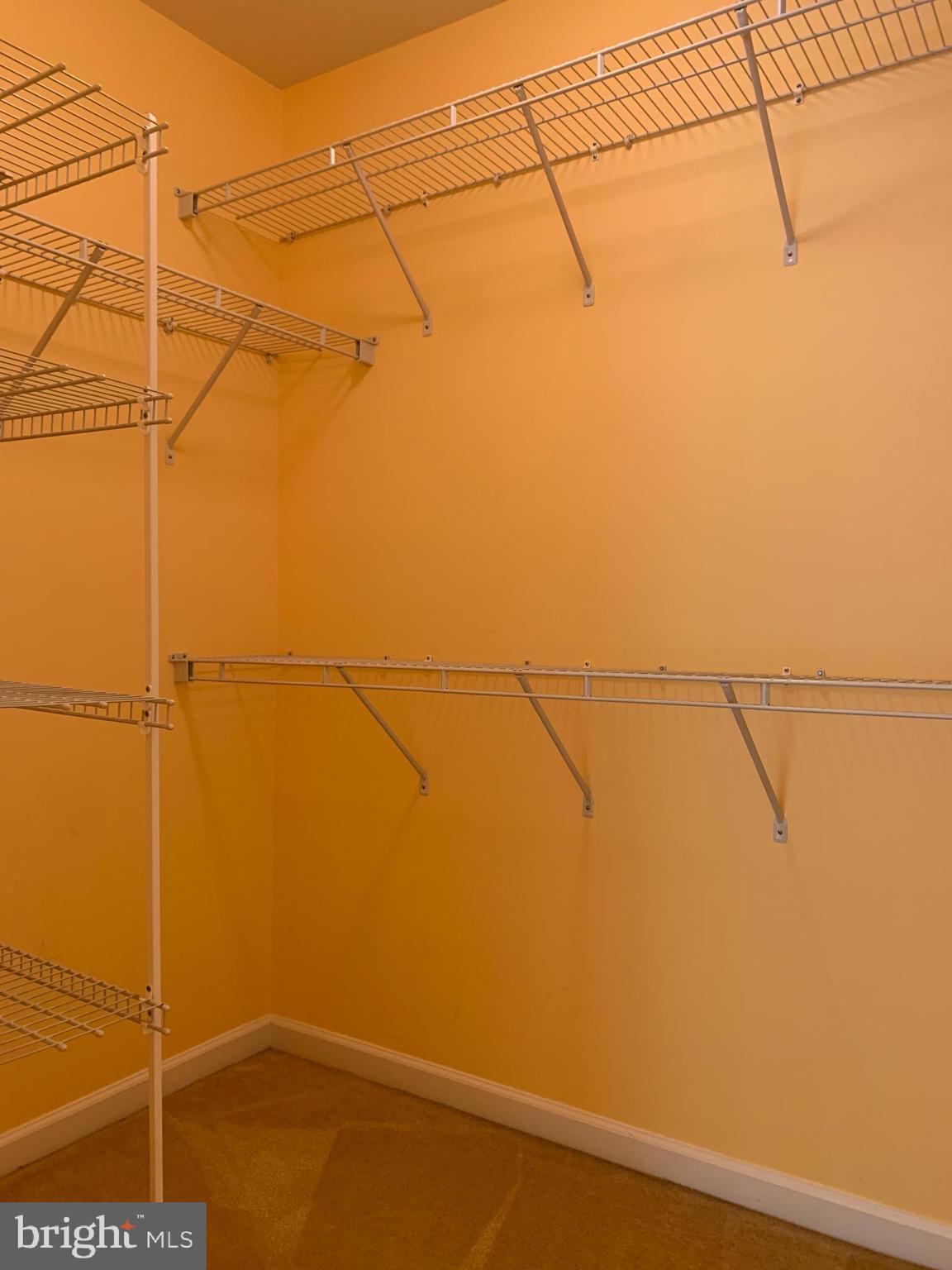 25575 America Square Chantilly, VA 20152 - Photo 42 of 57 Walk in closet 1