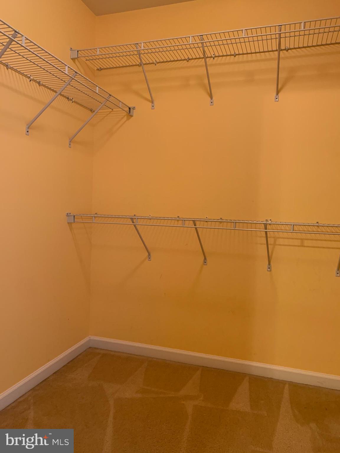 25575 America Square Chantilly, VA 20152 - Photo 43 of 57 Walk in closet 2