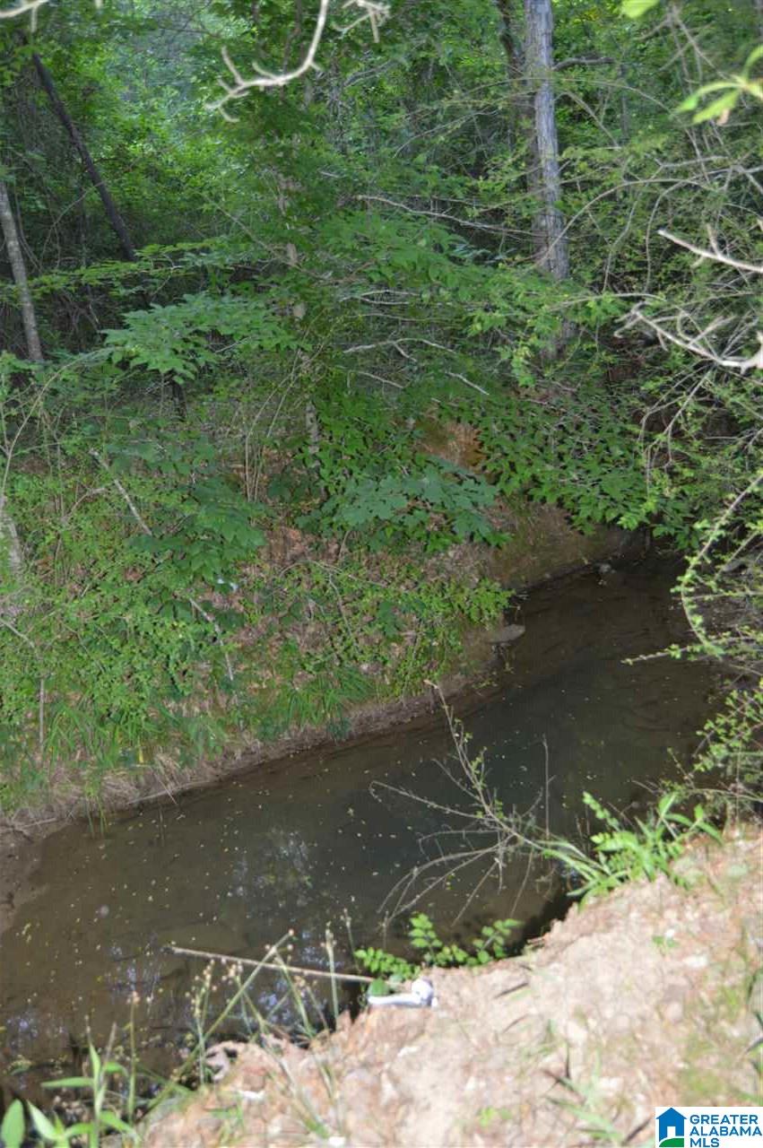 3861 Empire Road Empire, AL 35063 - Photo 9 of 50