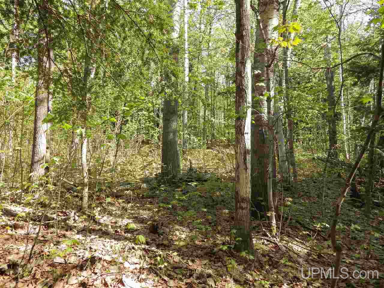 30 Acres Off Grove Street Marquette, MI 49855 - Photo 17 of 22