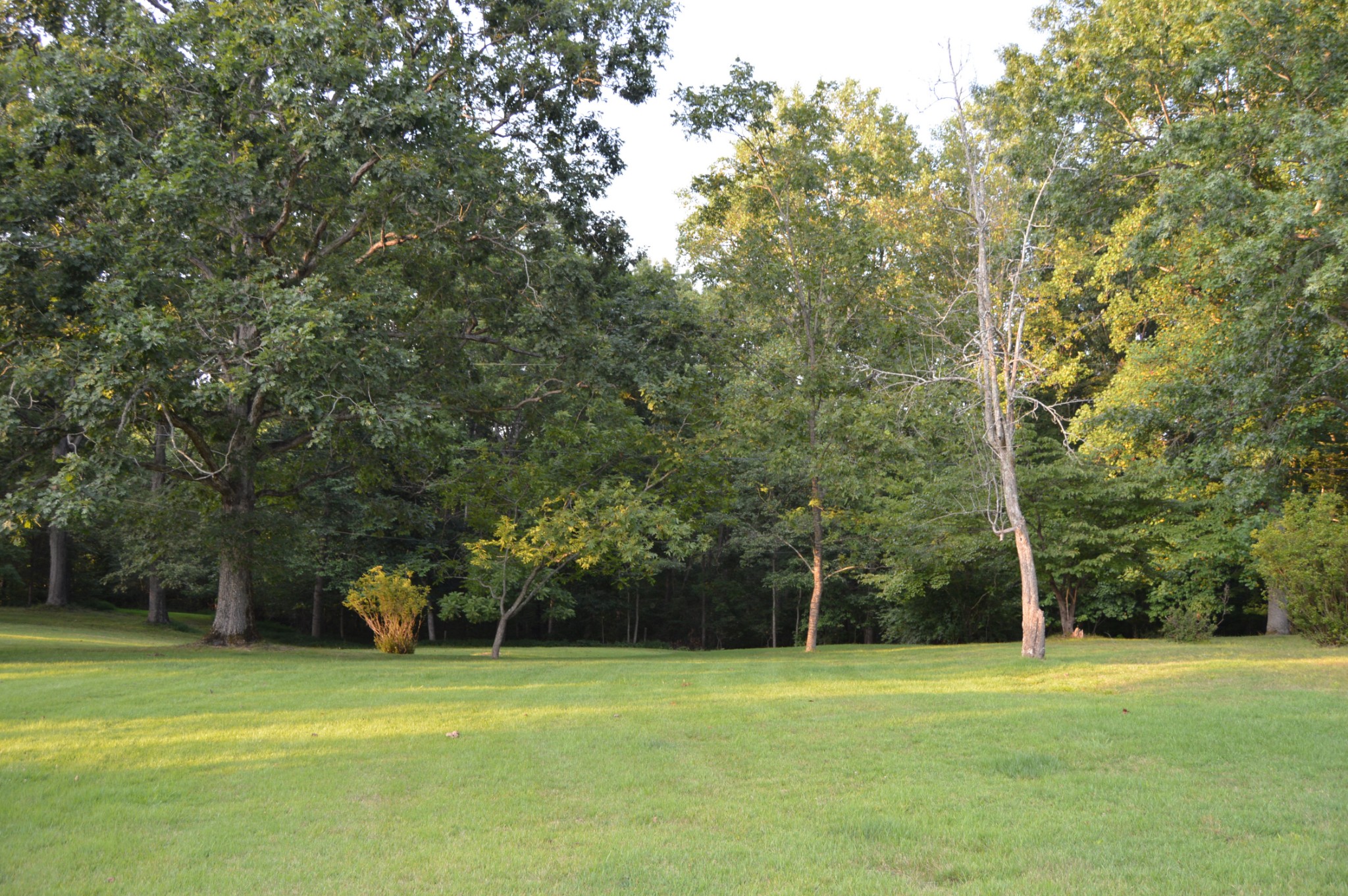 129 Byrd Road Dover, TN 37058 - Photo 25 of 25 Gallery Image 25