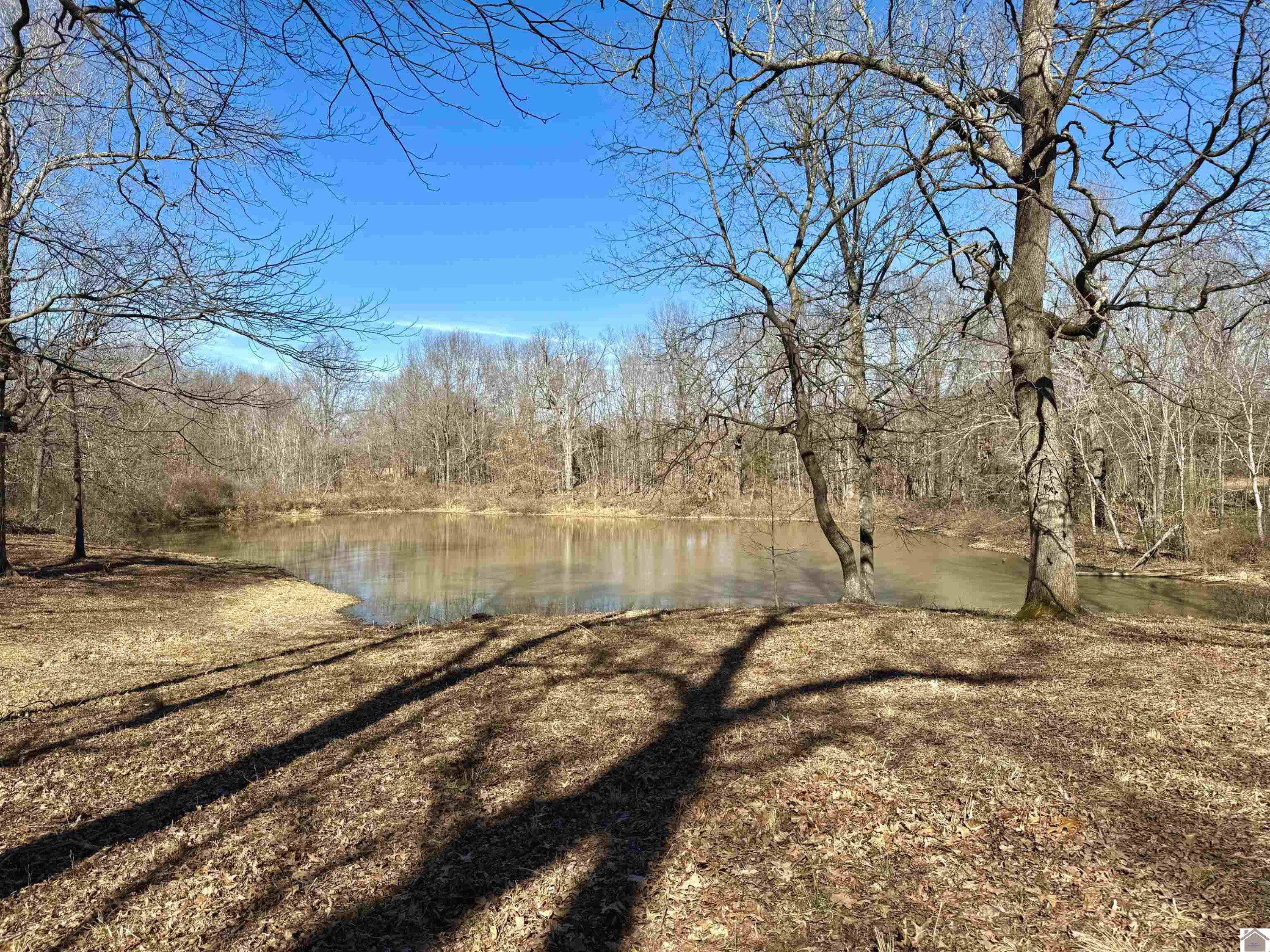 2025 East Lov Flo Sta Road Boaz, KY 42027 - Photo 9 of 34 Photo 9