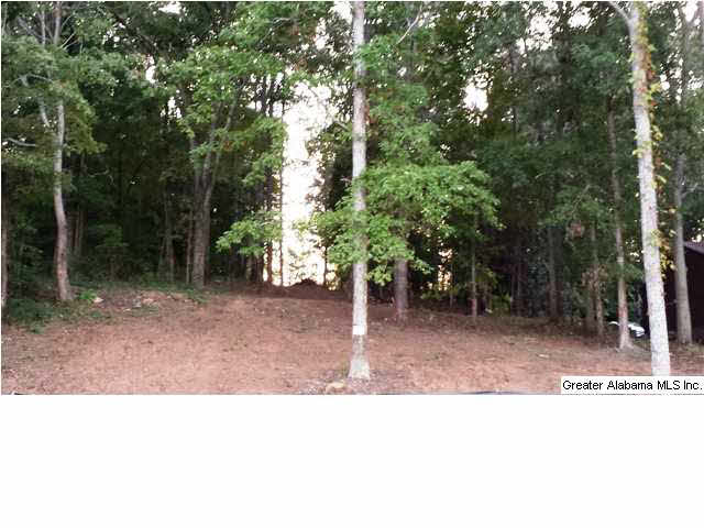 237 Valley View Drive Cropwell, AL 35054 - Photo 2 of 3