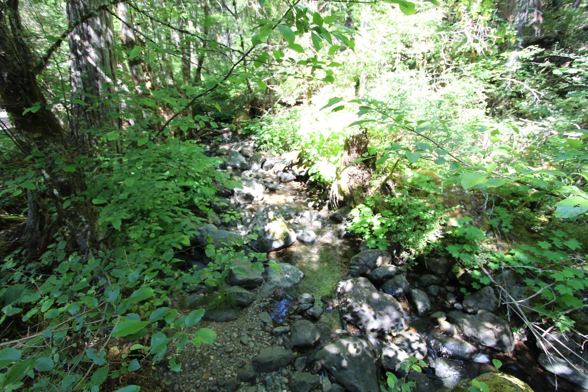 114 Forest Creek Road Selma, OR 97538 - Photo 20 of 27 IMG_4930(1)