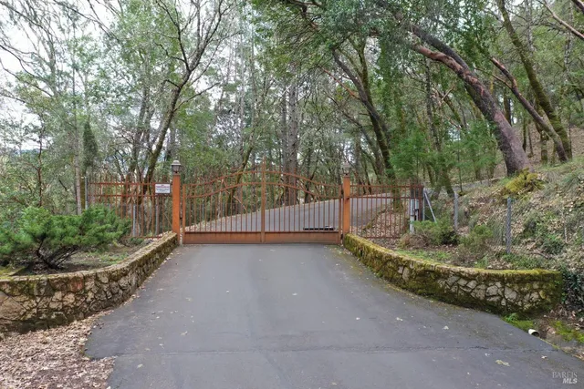 a view of a backyard with large trees