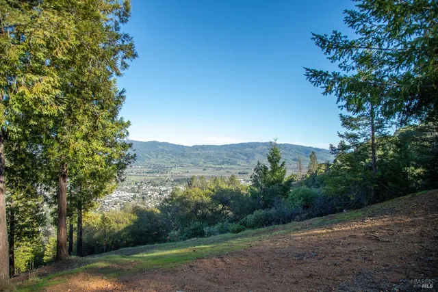 a view of outdoor space and trees