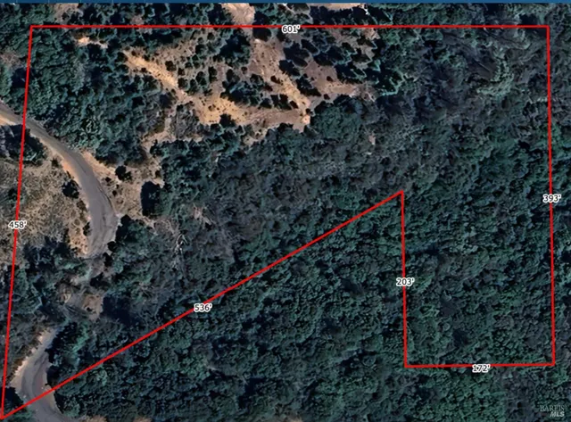 a tall tree in a yard with lots of green space