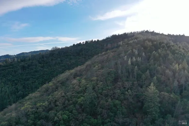 an aerial view of mountain with trees around