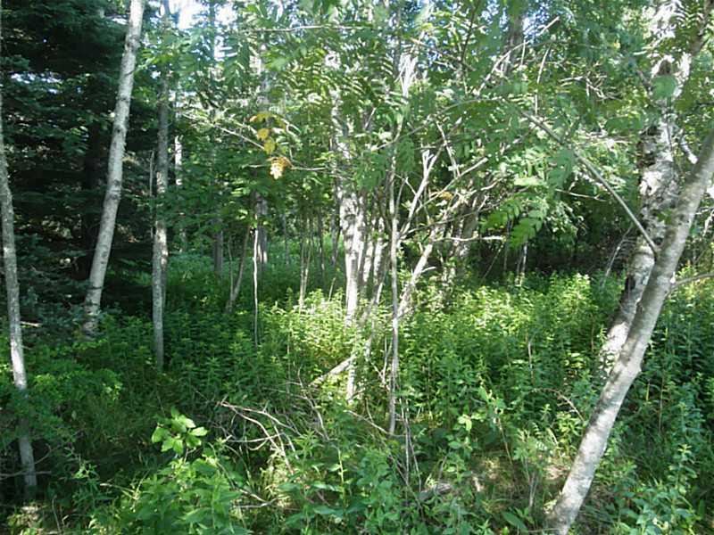 47 Pulpit Harbor Road North Haven, ME 04853 - Photo 2 of 5 Land.