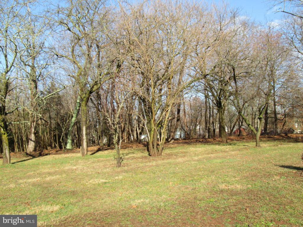 2455 Granite Station Road Gettysburg, PA 17325 - Photo 16 of 66 BACK YARD OF UNIT