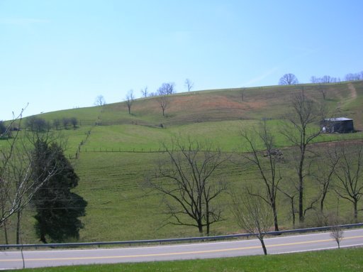 2415 Forge Ridge Road Harrogate, TN 37752 - Photo 17 of 32 Additional Photo