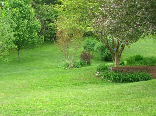 2415 Forge Ridge Road Harrogate, TN 37752 - Photo 23 of 32 Additional Photo