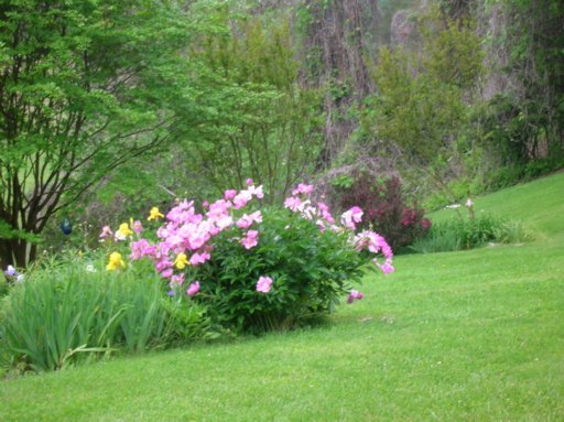 2415 Forge Ridge Road Harrogate, TN 37752 - Photo 28 of 32 Additional Photo