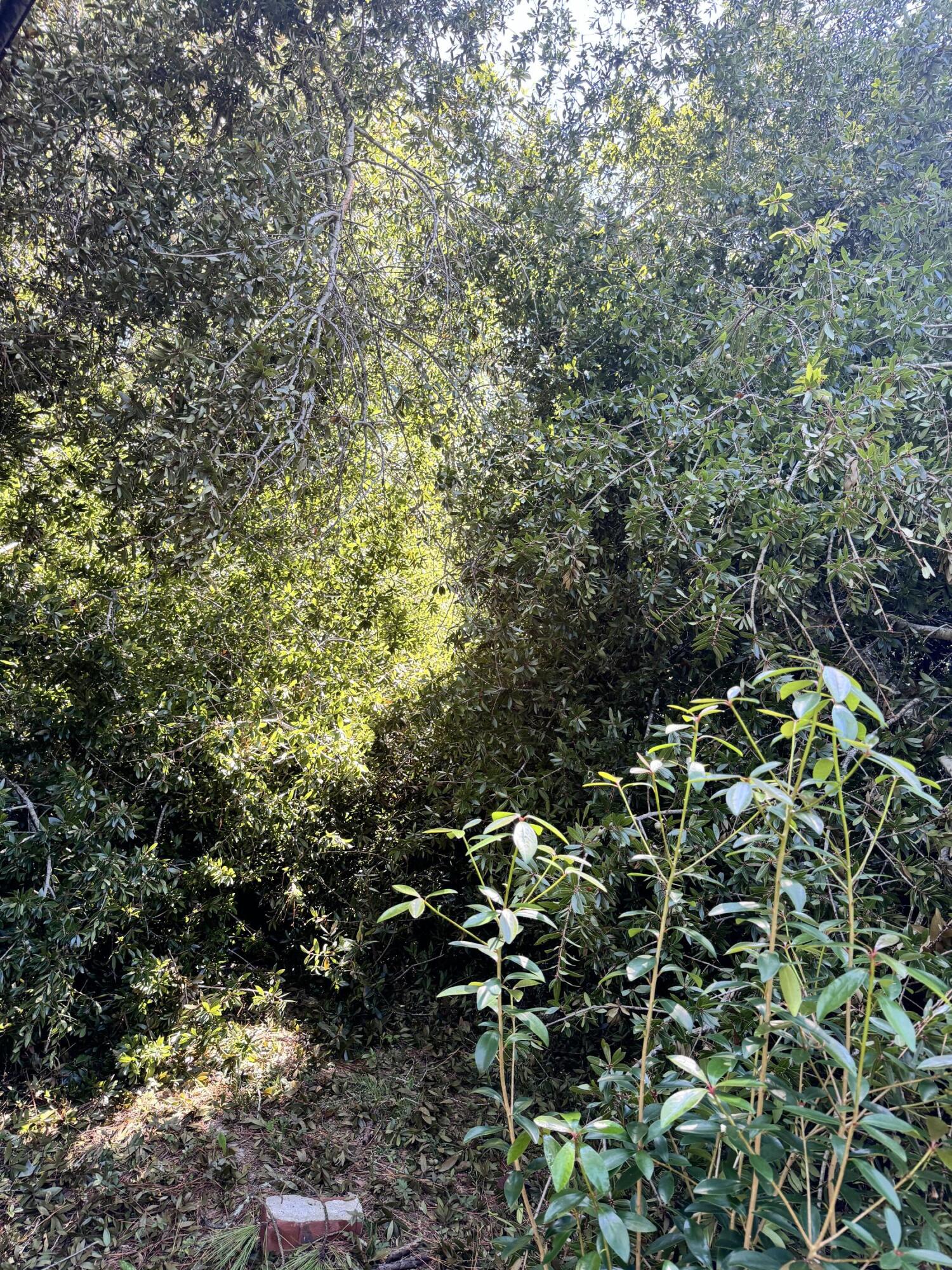 401 Constance Street Walterboro, SC 29488 - Photo 81 of 83 401 Constance Street