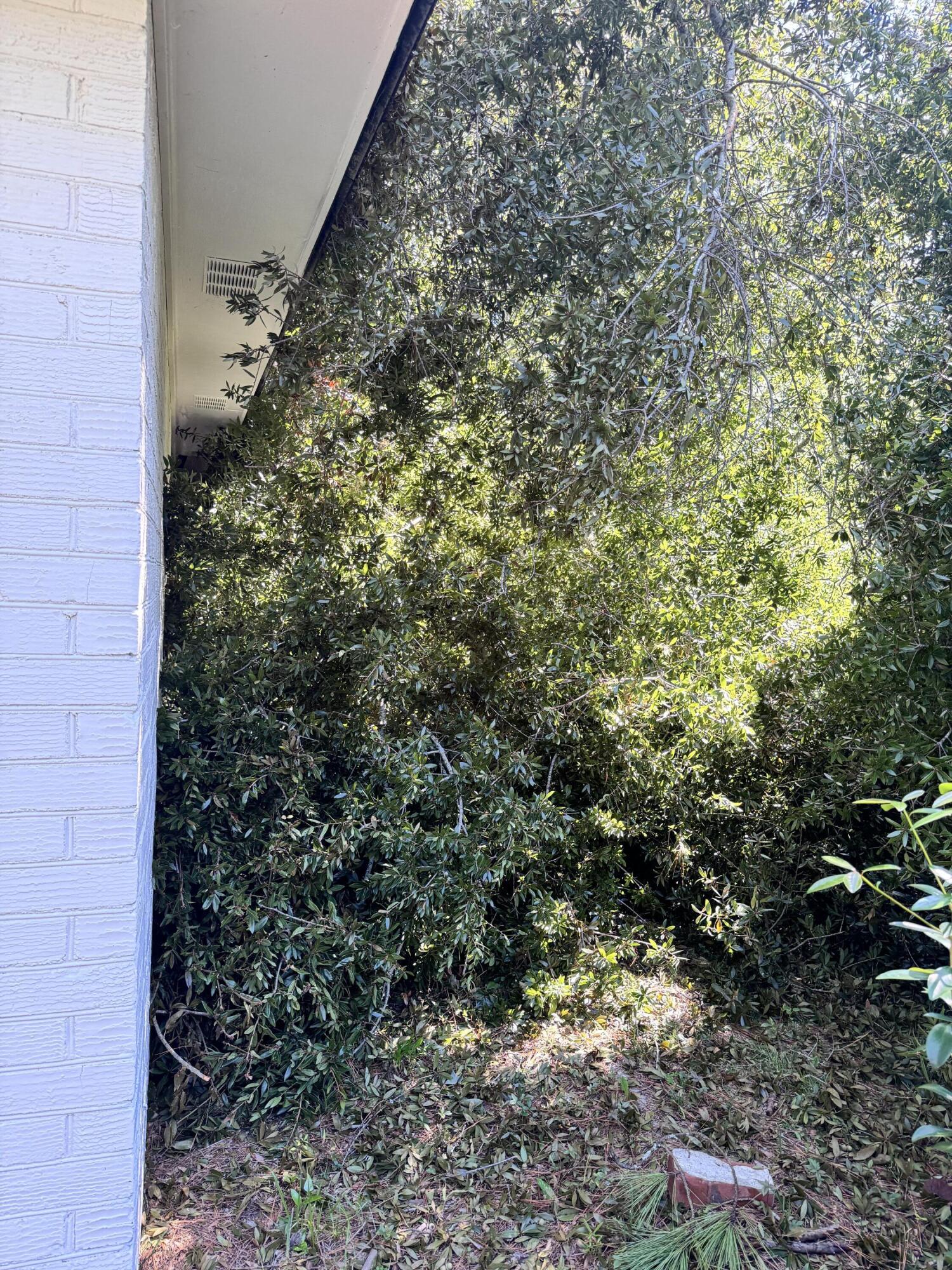 401 Constance Street Walterboro, SC 29488 - Photo 82 of 83 401 Constance Street