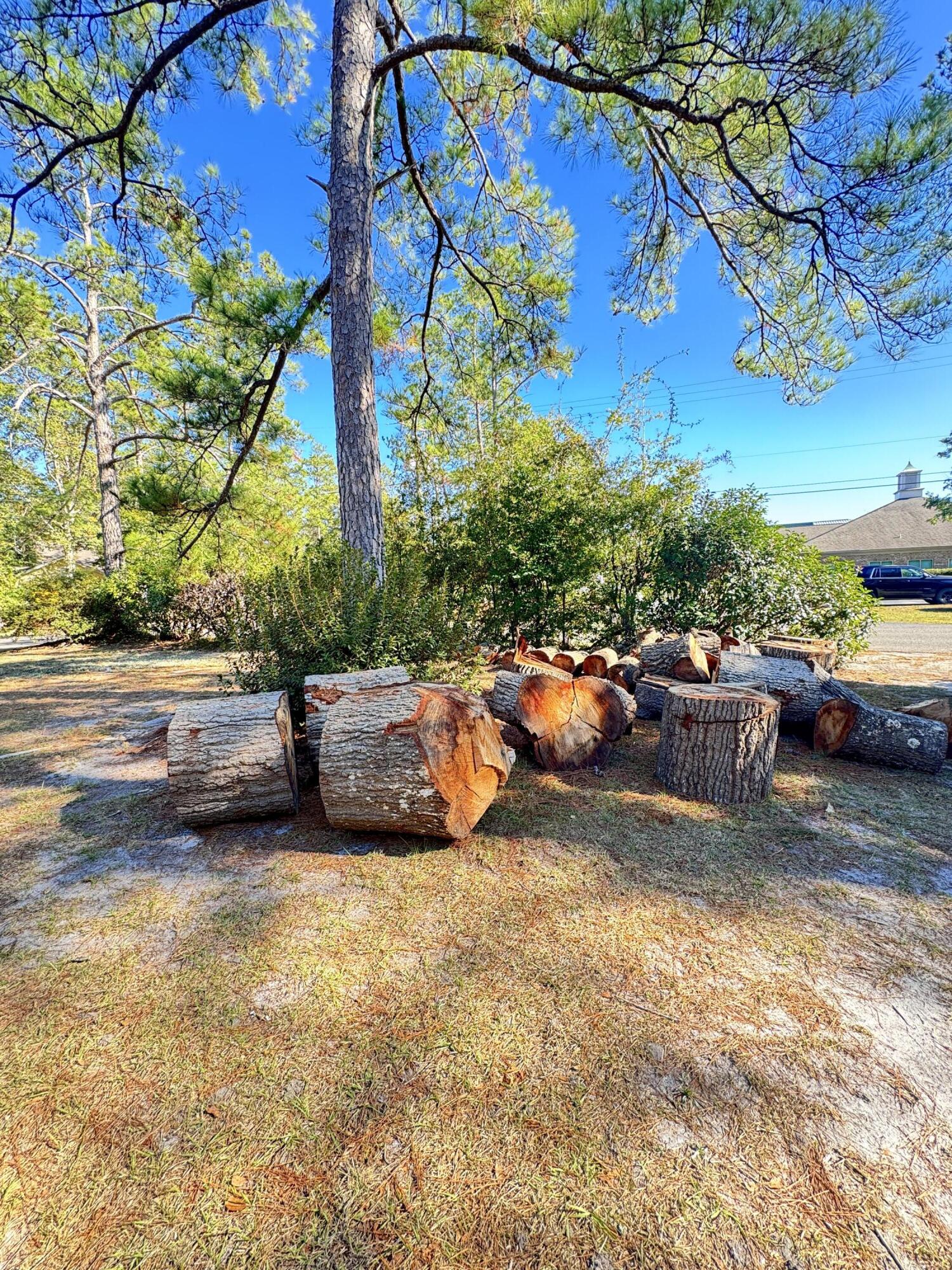 401 Constance Street Walterboro, SC 29488 - Photo 83 of 83 401 Constance Street
