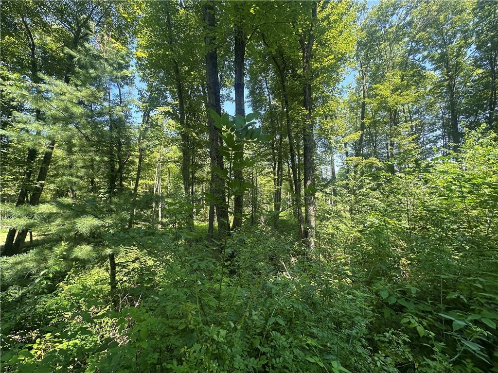 375 Rockdale Road Emlenton, PA 16373 - Photo 6 of 15 Gallery Image 6