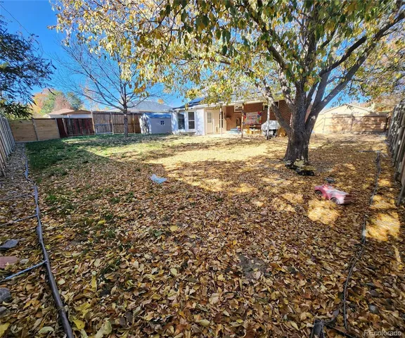 a view of yard with trees