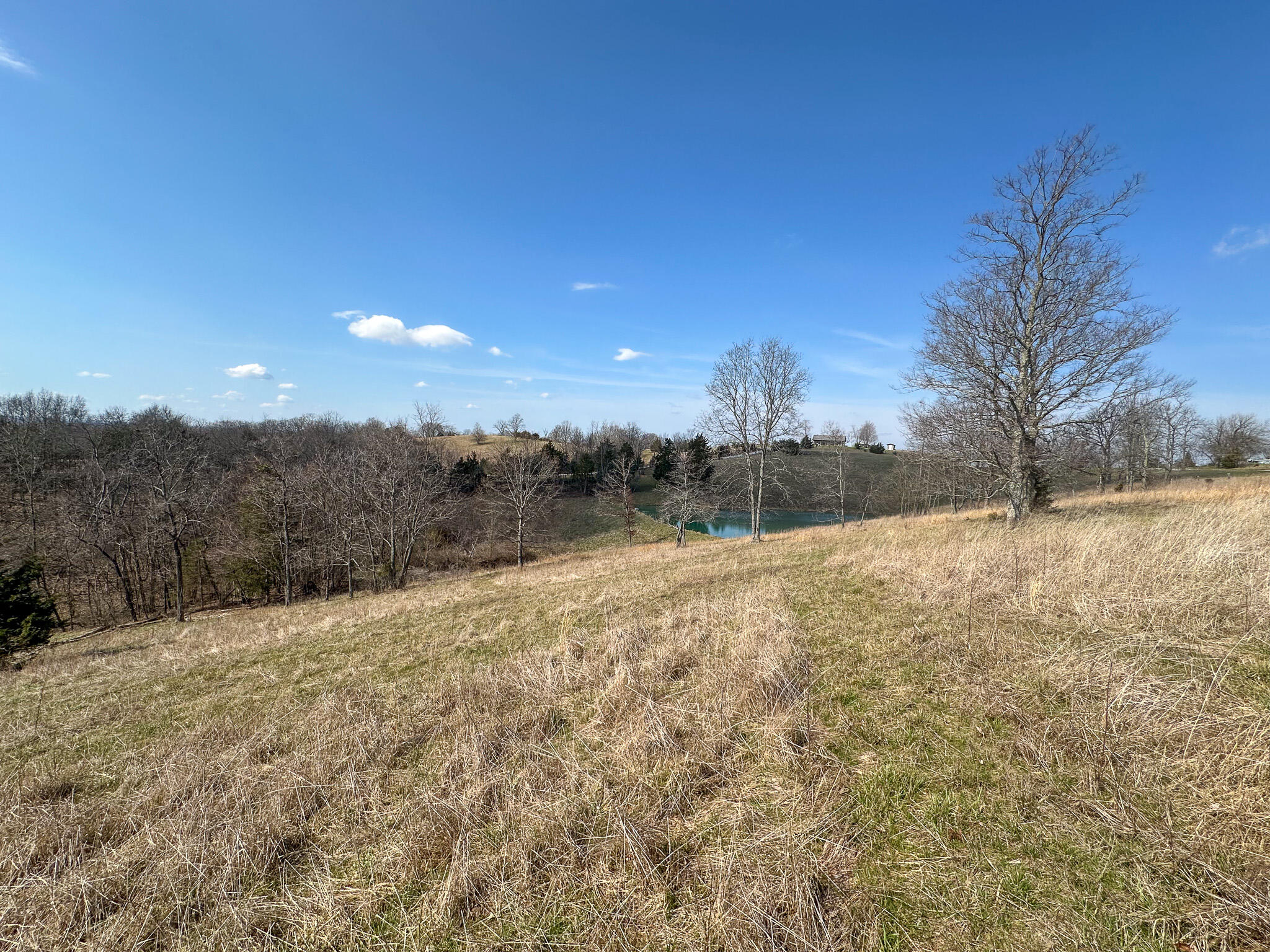 58 Beckett Road Berry, KY 41003 - Photo 28 of 38 Patrick_28